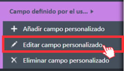 Opción de menú «Editar campo personalizado» en el menú de navegación de campos definidos por el usuario.