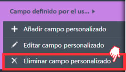 Opción de menú «Eliminar campo personalizado» del campo definido por el usuario