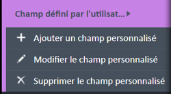Menu de navigation des champs définis par l'utilisateur