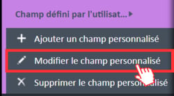Option de menu « Modifier le champ personnalisé » dans le menu de navigation des champs définis par l'utilisateur.