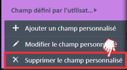 Option de menu « Supprimer le champ personnalisé » pour les champs définis par l'utilisateur