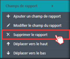Option de menu « Supprimer le champ de rapport » dans le menu de navigation des champs de rapport.