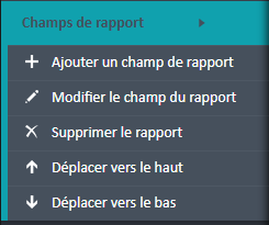 Menu de navigation des champs du rapport