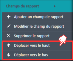 Options de menu Monter et Descendre dans le menu de navigation Champs de rapport