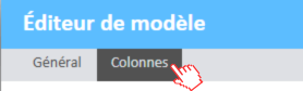 Fenêtre de l'éditeur de modèles avec l'onglet Colonnes sélectionné dans l'onglet supérieur