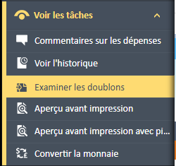 Option de menu « Vérifier les doublons » sélectionnée dans le menu de navigation « Afficher les tâches ».