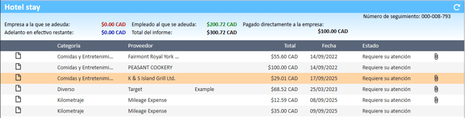 Sección de informes de gastos con múltiples opciones disponibles en el Administrador de gastos.