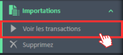 Option de menu Afficher les transactions dans le menu de navigation des importations