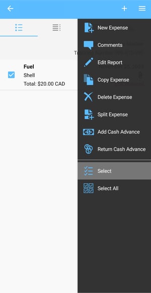 Options de sélection et de suppression des dépenses apparaissant dans le menu latéral