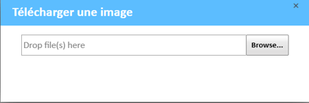 Fenêtre de téléchargement d'image