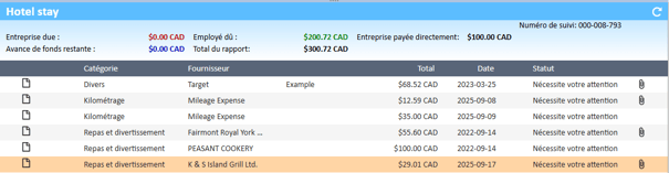 Section « Notes de frais » avec plusieurs options disponibles dans le Gestionnaire de dépenses