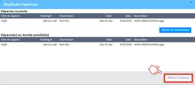 Fenêtre « Vérifier les doublons » avec bouton « Afficher les dépenses »