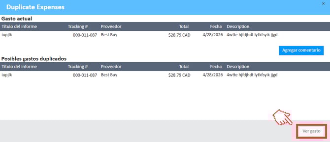 Ventana de revisión de duplicados con botón Ver gastos