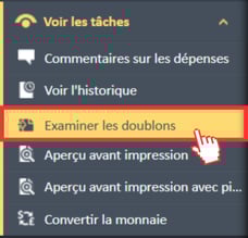 L'option « Vérifier les doublons » est sélectionnée dans le menu de navigation « Afficher les tâches ».