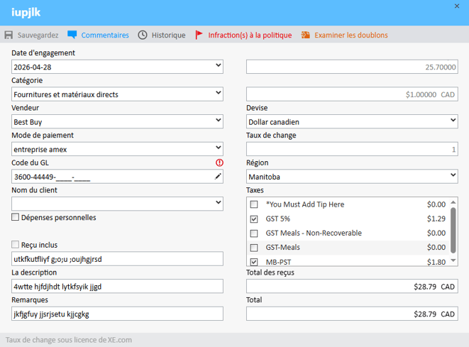 Fenêtre Détails des dépenses avec champs modifiables