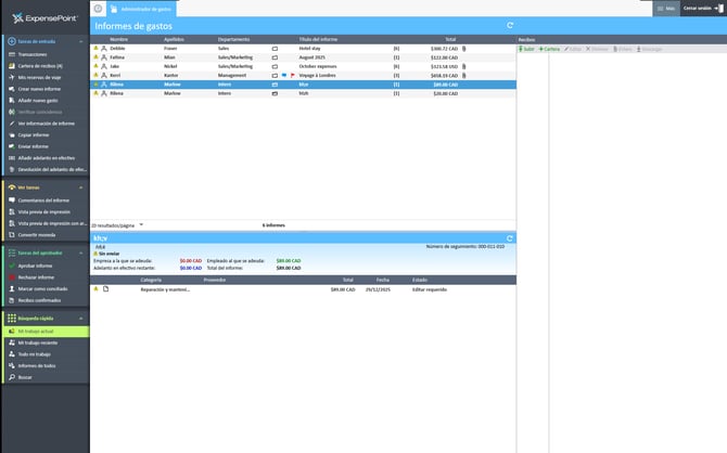 Ventana del Administrador de gastos con el informe seleccionado en la sección Informes de gastos.