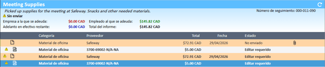 Sección de gastos que muestra los nuevos gastos divididos en el Administrador de gastos.