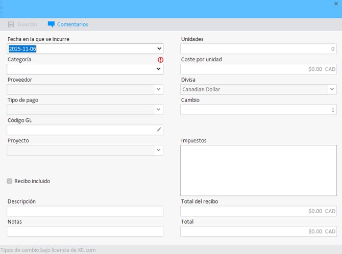 Ventana de informe con muchos campos rellenables para introducir los detalles necesarios del gasto.