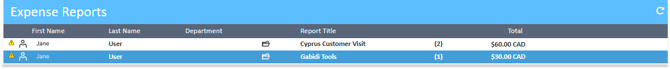 Expense Reports list in the Expense Manager with Expense Report selected