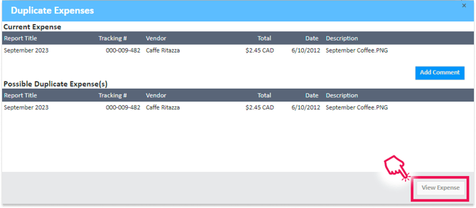 Review Duplicates window with View Expense button