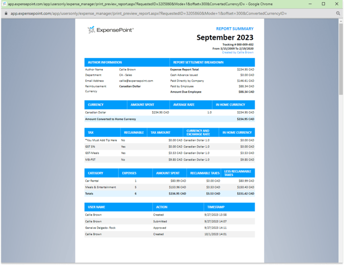 Print Preview window displaying the expense report in a ready to print format