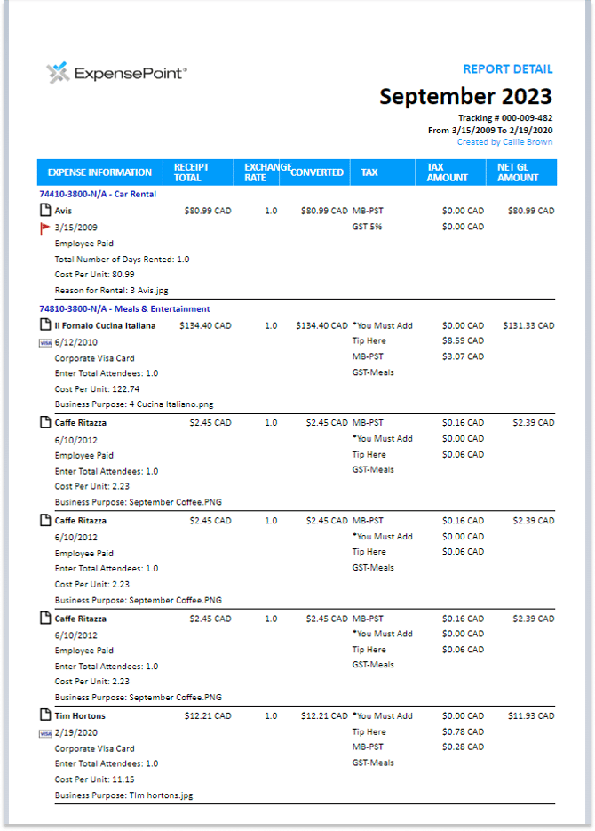 Print Preview window displaying the expense report in a ready to print format