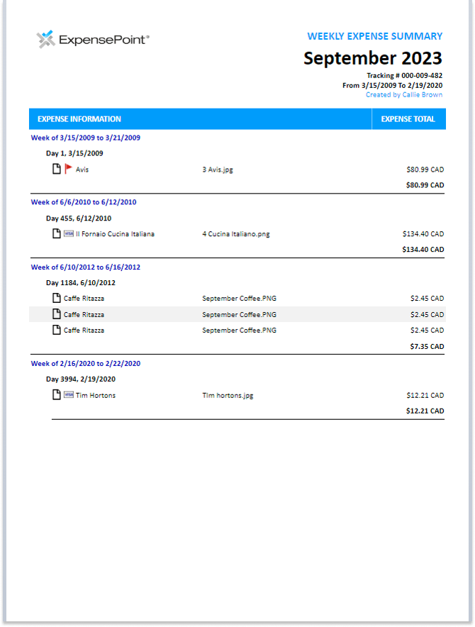Print Preview window displaying the expense report in a ready to print format