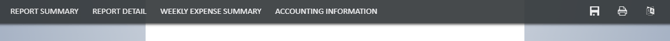 Navigation tabs for each section of the report