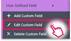 Edit User Defined Field